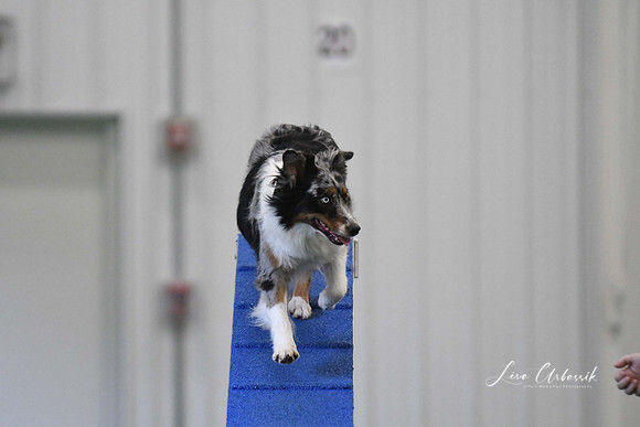DigitalDSC_3896
