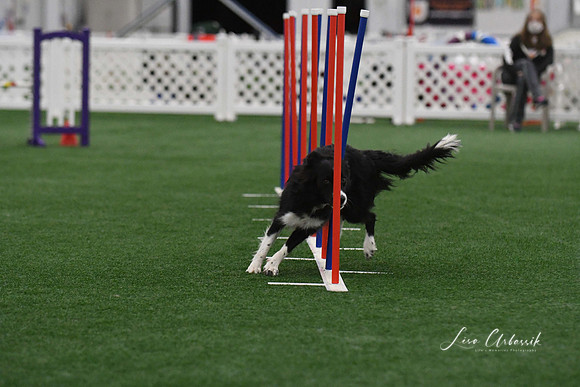 DigitalDSC_3811