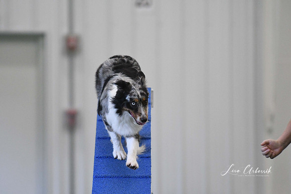 DigitalDSC_3897