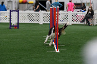DigitalDSC_3704
