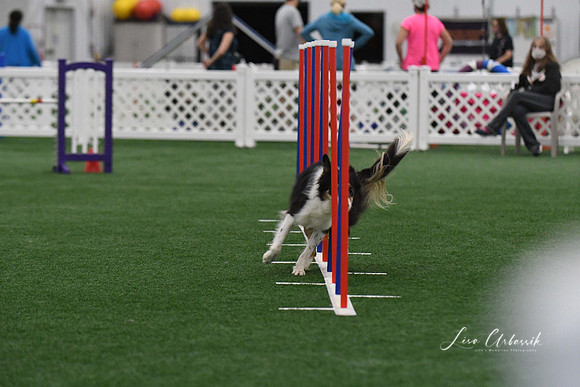 DigitalDSC_3704