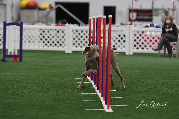 DigitalDSC_3756