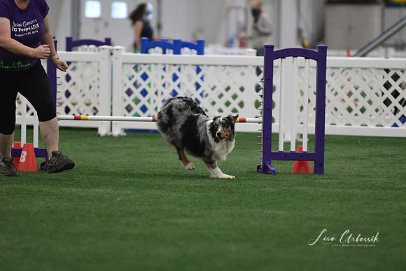 DigitalDSC_3894