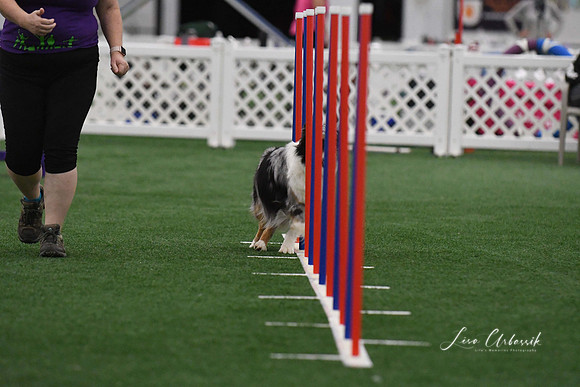 DigitalDSC_3882