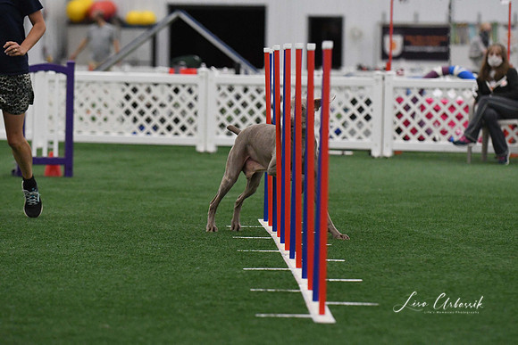 DigitalDSC_3749
