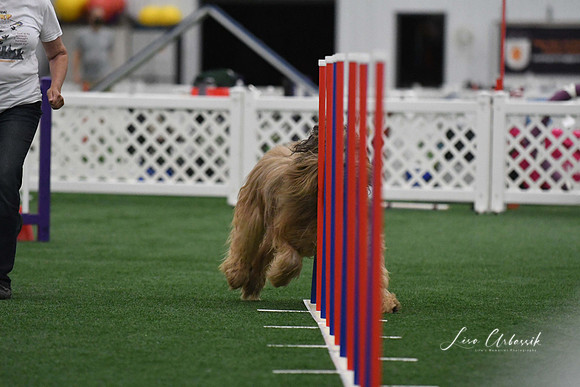DigitalDSC_3731
