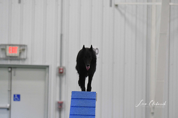 DigitalDSC_3724