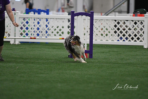 DigitalDSC_3895