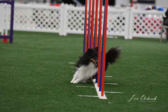 DigitalDSC_3868