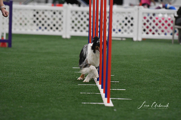 DigitalDSC_3888