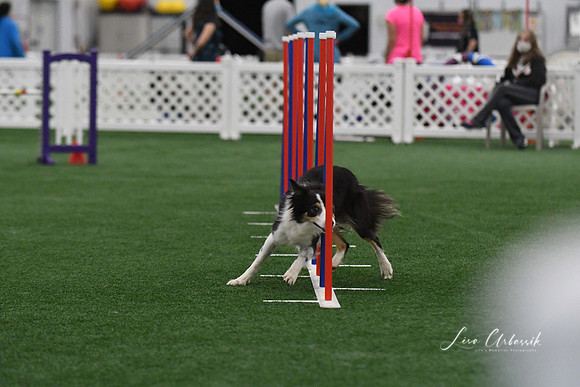 DigitalDSC_3706