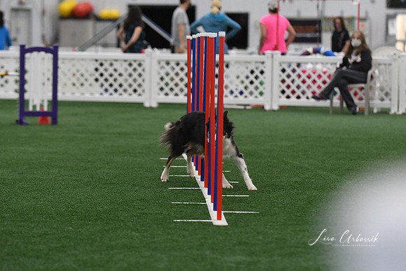 DigitalDSC_3702