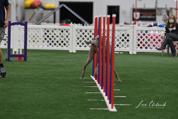 DigitalDSC_3750