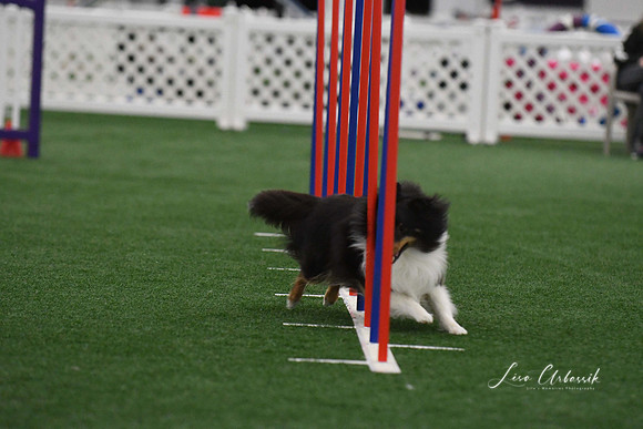 DigitalDSC_3869