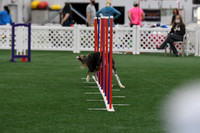 DigitalDSC_3700