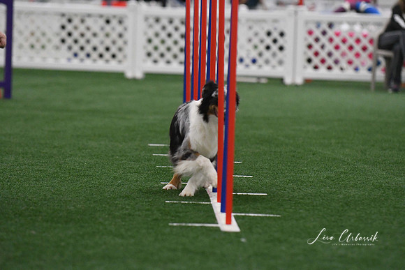 DigitalDSC_3892