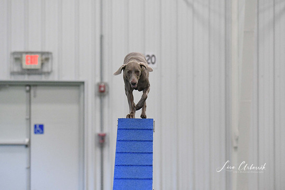 DigitalDSC_3765
