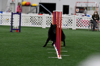 DigitalDSC_3719