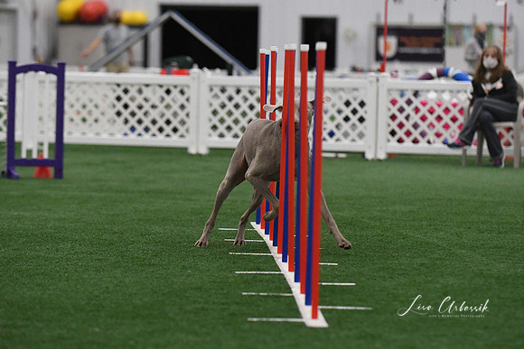 DigitalDSC_3754