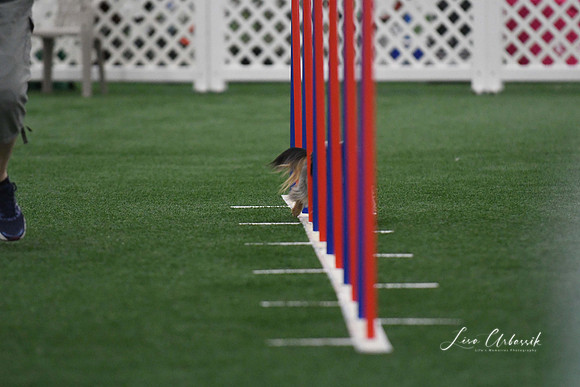 DigitalDSC_5245