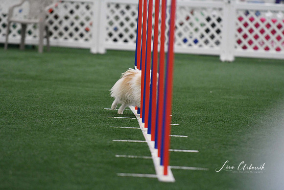 DigitalDSC_5102