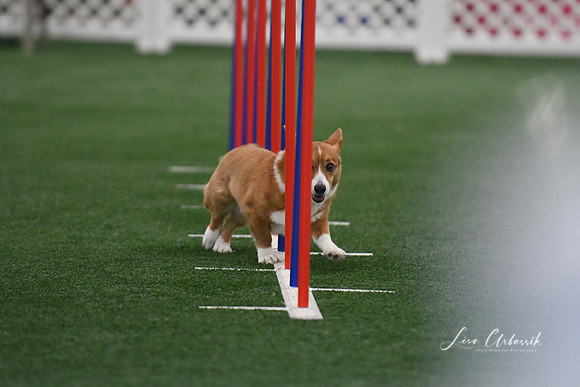 DigitalDSC_5157