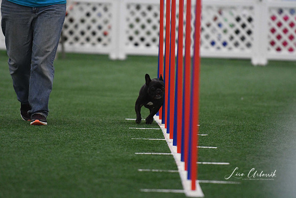 DigitalDSC_5132