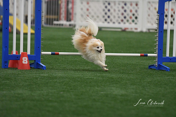 DigitalDSC_5120