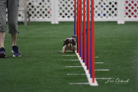 DigitalDSC_5242