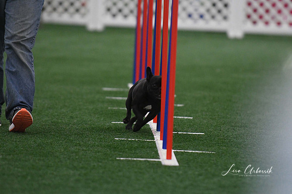 DigitalDSC_5141