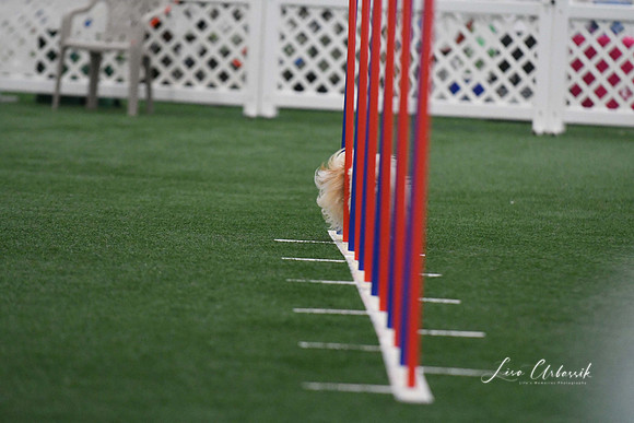 DigitalDSC_5100