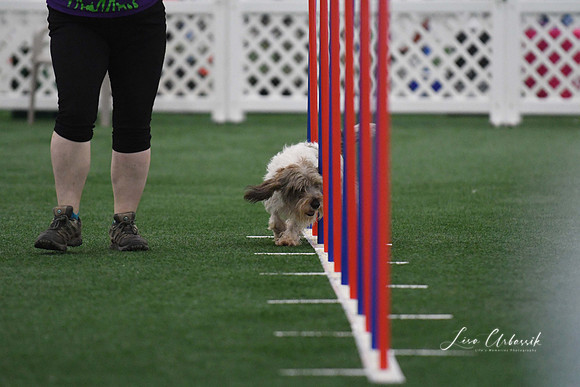 DigitalDSC_5262