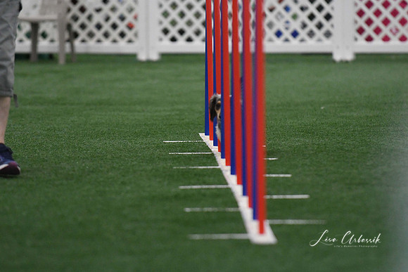 DigitalDSC_5246