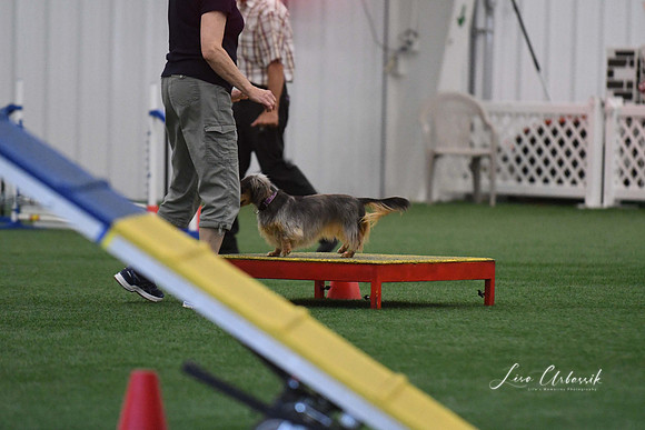 DigitalDSC_5256