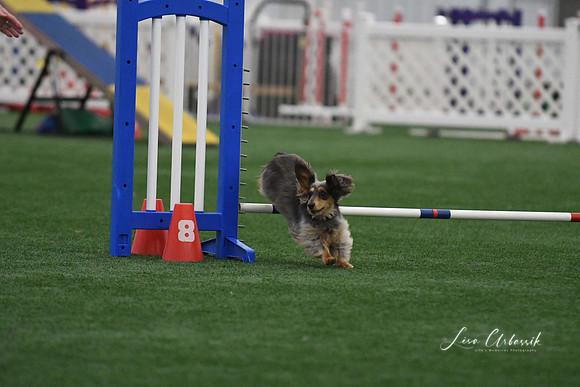 DigitalDSC_5257