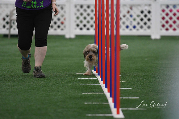 DigitalDSC_5261