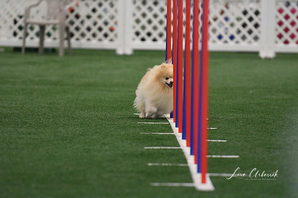 DigitalDSC_5230