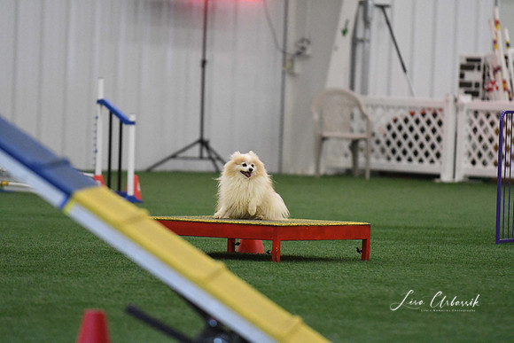 DigitalDSC_5116