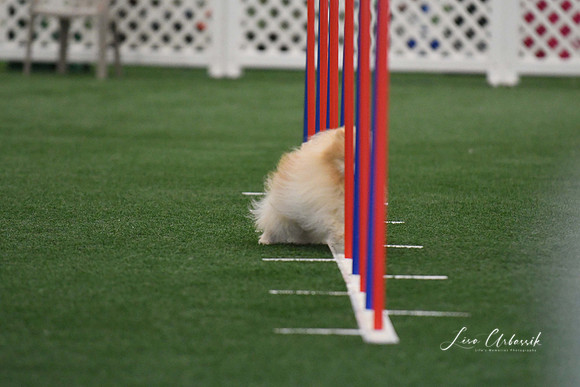 DigitalDSC_5236