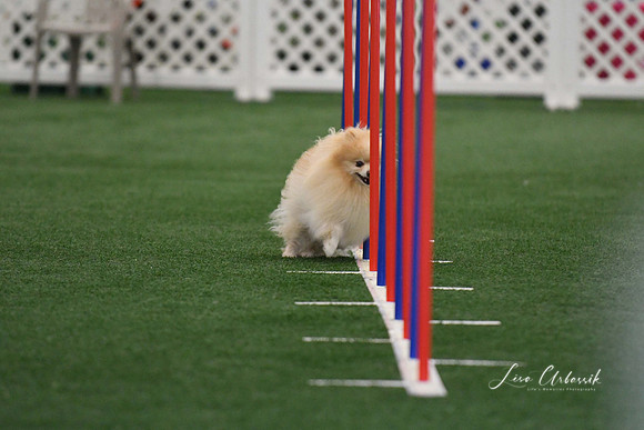DigitalDSC_5233