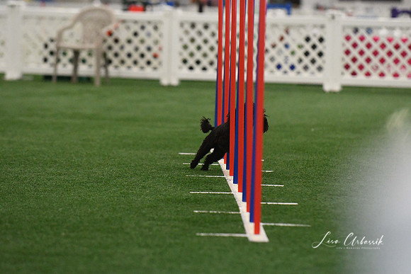 DigitalDSC_5169