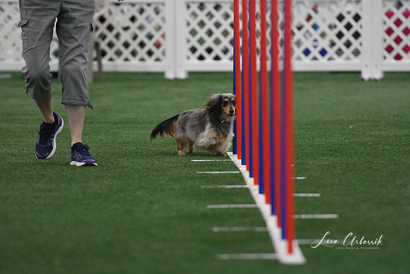 DigitalDSC_5240