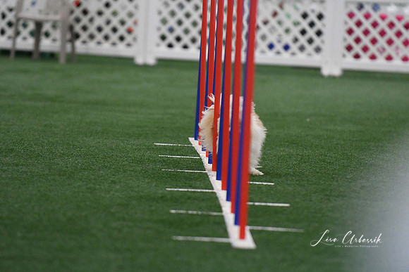 DigitalDSC_5105