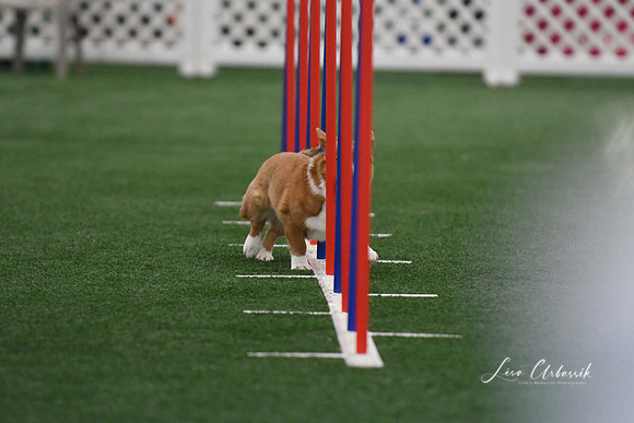DigitalDSC_5153
