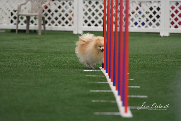 DigitalDSC_5229