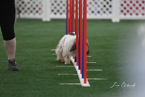 DigitalDSC_5271