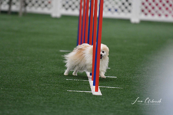 DigitalDSC_5110