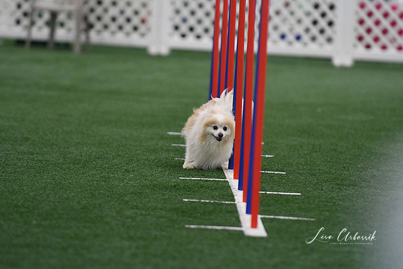 DigitalDSC_5106