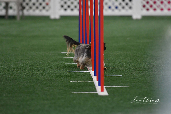 DigitalDSC_5252