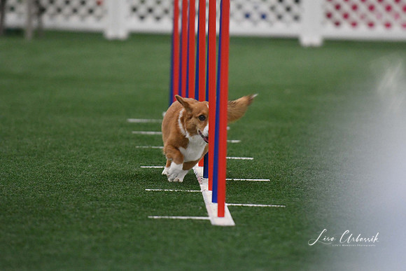 DigitalDSC_5156